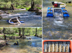 Preview: 1000 Gramm Goldsand Paydirt - mindestens 0,55 Gramm Gold mit Nuggets - Bull Creek, California, USA